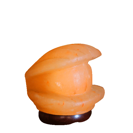 Shell salt lamp