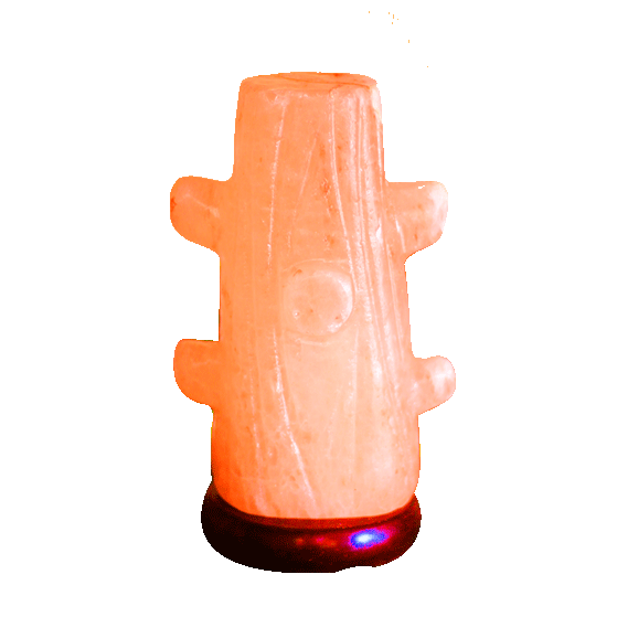 cactus salt lamp