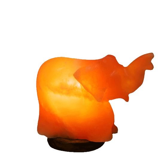 elephant salt lamp